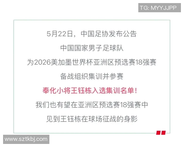 世界杯预选赛回应批评：我只专注于比赛